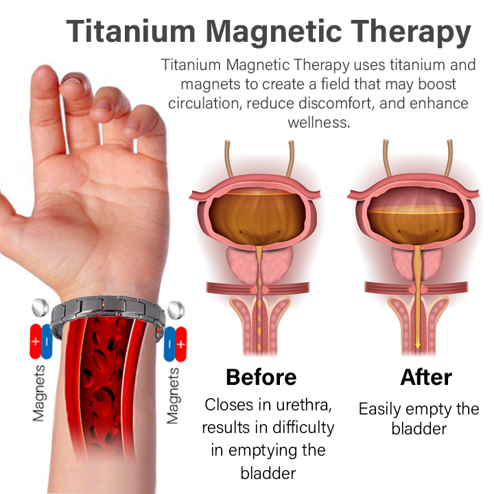 HISTONE™ TitaniumMag Wellness Bracelet🔥LAST DAY Promotion 49% OFF🔥