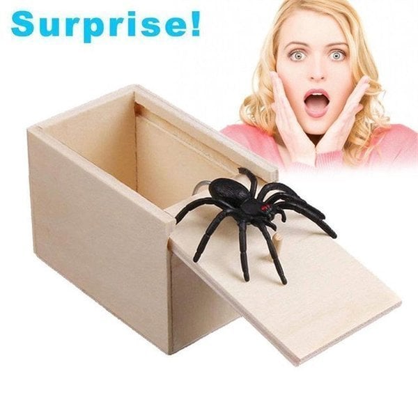 Super Funny Crazy Prank Gift Box Spider 🎁Special gifts for friends/family!