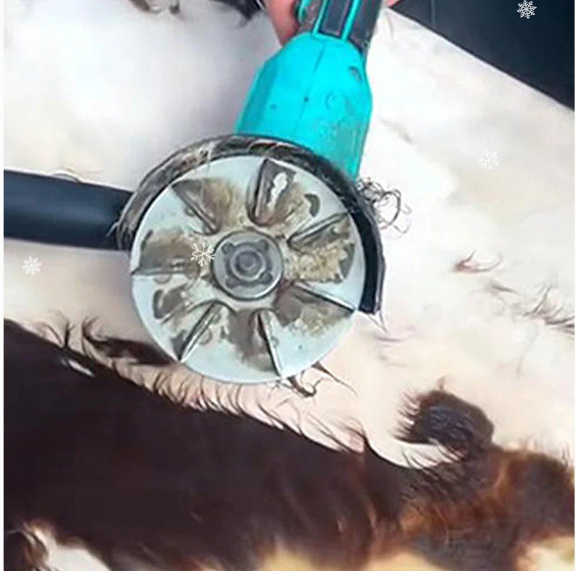 🔥🔥🔥Labor-Saving Pig Hair Remover Scraper Disc【Buy it all up—we mustn't let the cattle suffer harm.】