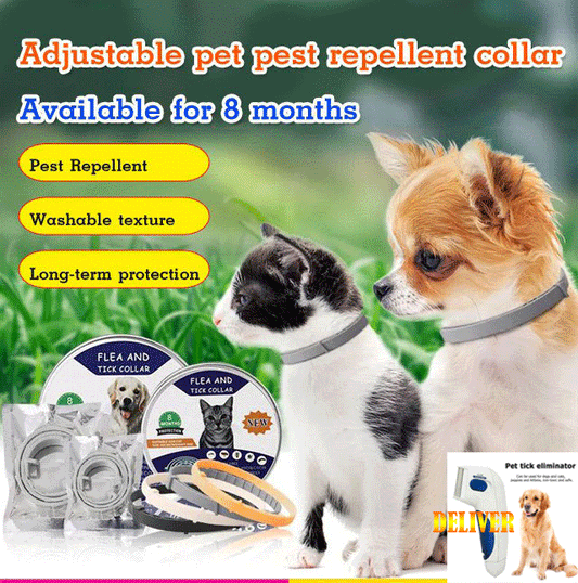 Flea & Tick Prevention Collar for Cats & Dogs (Buy 1 Free 1)-38cm For cat (2pcs)🔥【Giving a pet flea comb】