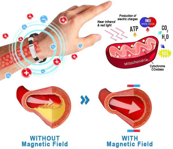 SEAGRIL™ Blood pressure regulator bracelet