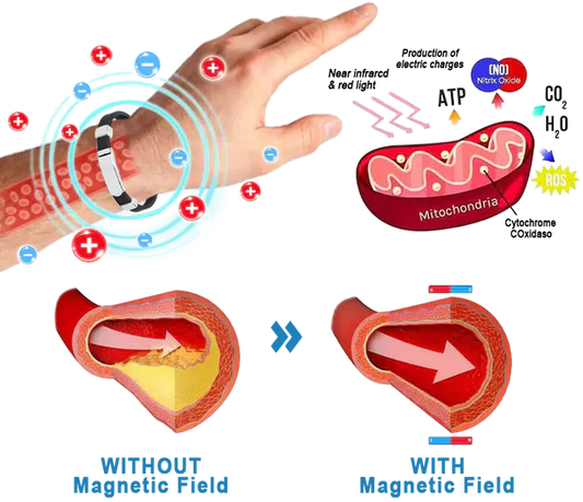 SEAGRIL™ Blood pressure regulator bracelet