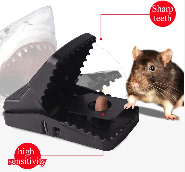 Highly Responsive Mousetrap