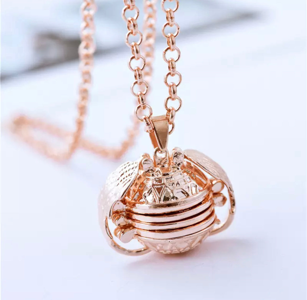 PHOTO LOCKET NECKLACE-Rose Gold【Free 16-color eyeshadow palette】